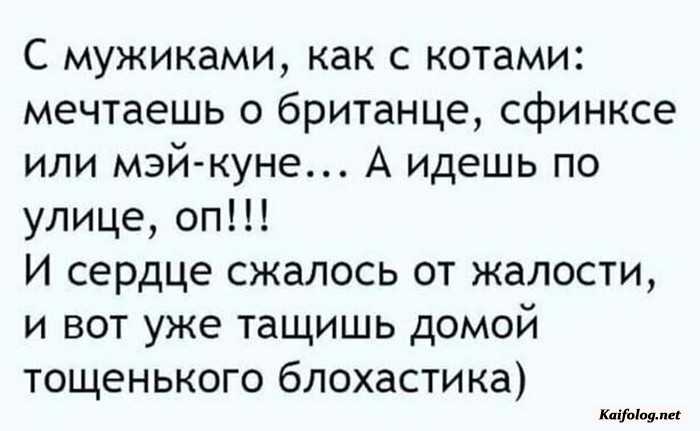 смешная картинка