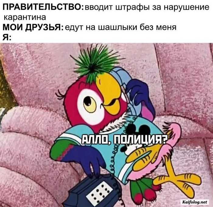 смешная картинка