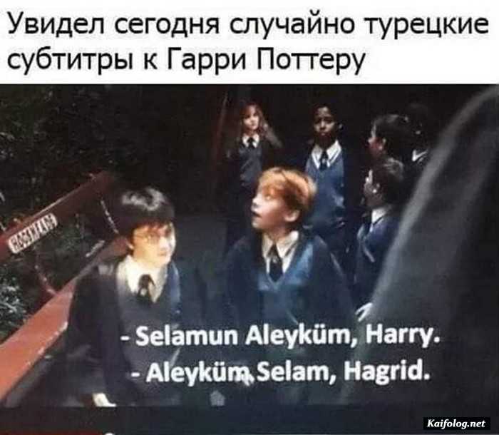 смешная картинка