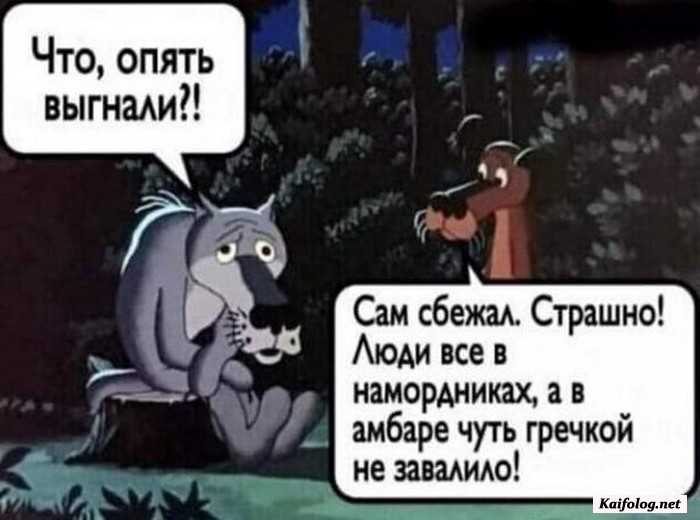 смешная картинка