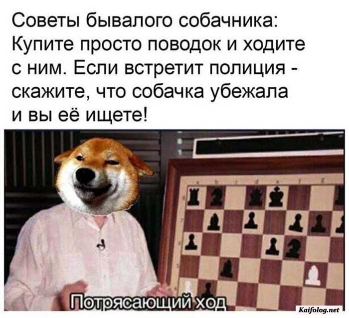 картинка с приколом