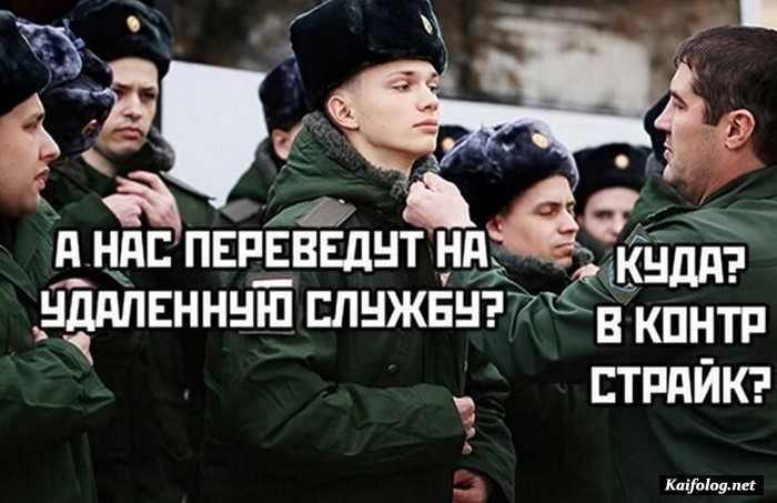 картинка с приколом