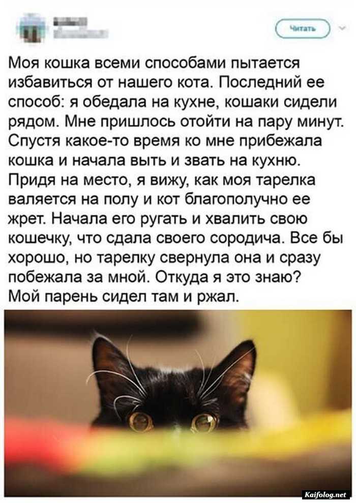 прикол на картинке