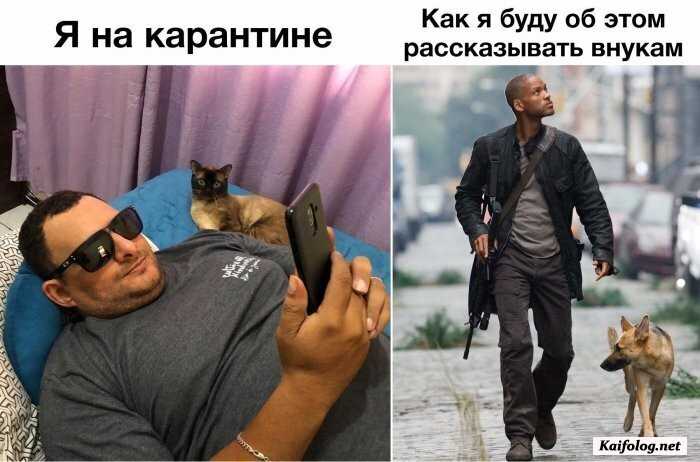 прикол на картинке