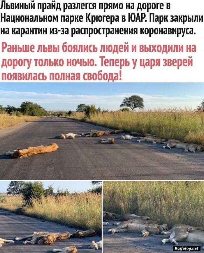 фотоприкол