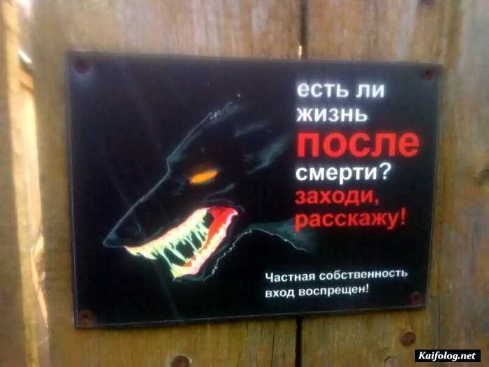 фотоприкол