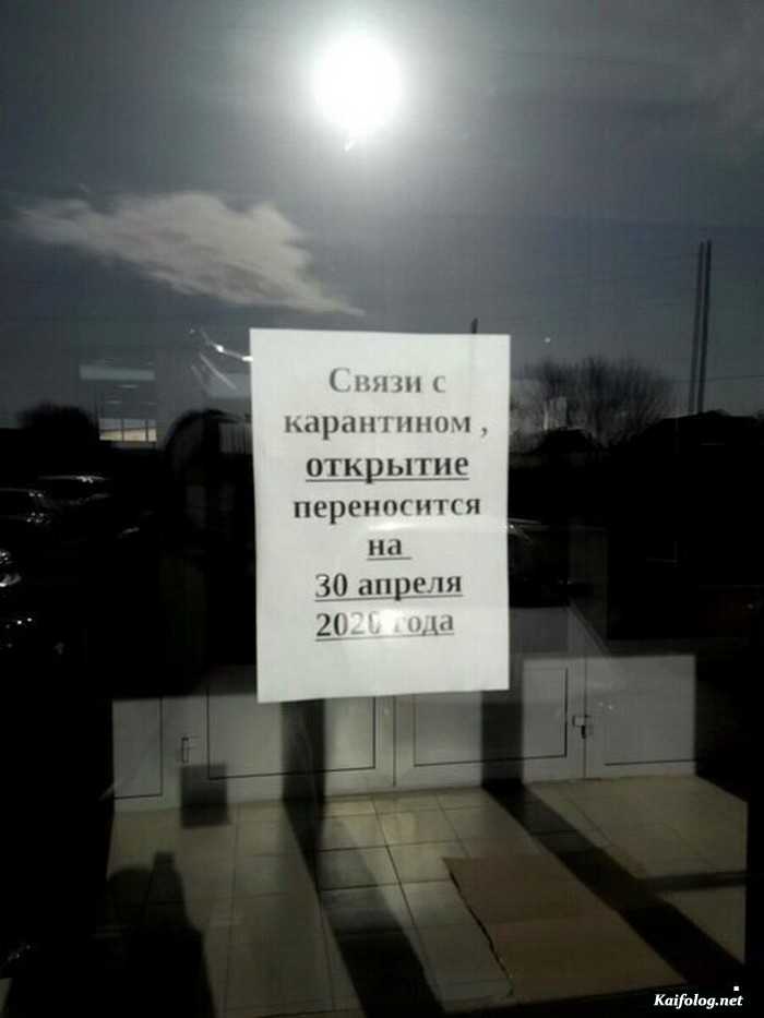 фотоприкол
