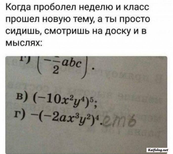 прикольная фотография