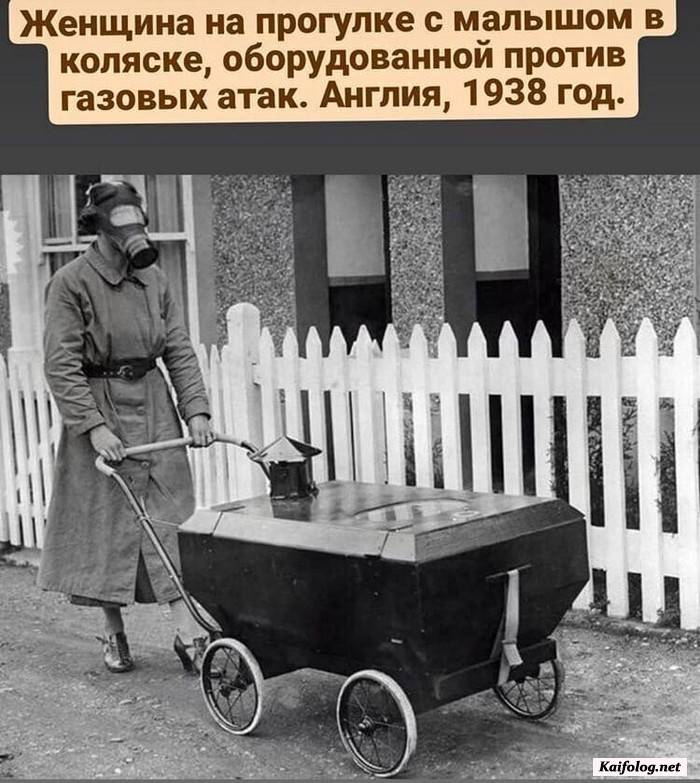 прикольная фотография