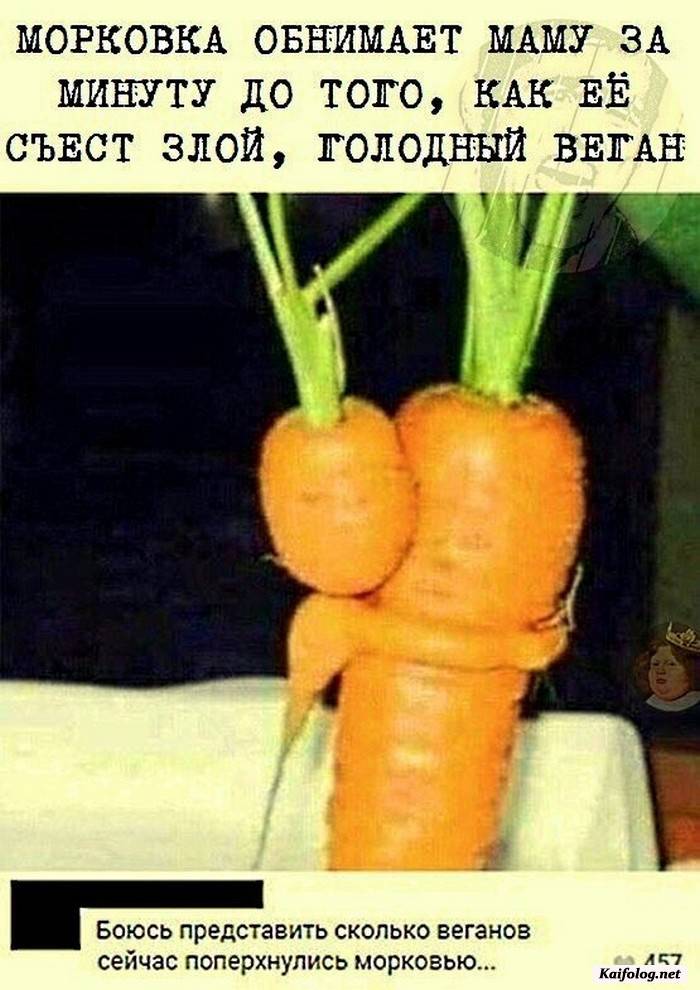 прикольная фотография