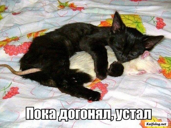 прикольная фотография