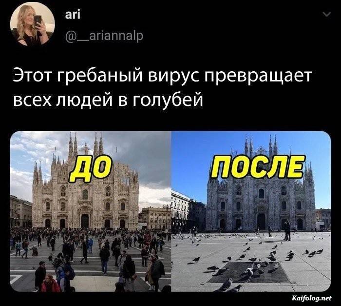 прикольная фотография