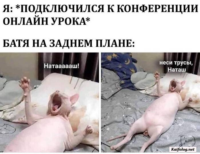 прикольная фотография