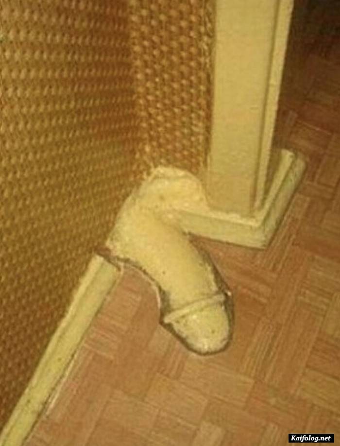 прикольная фотография