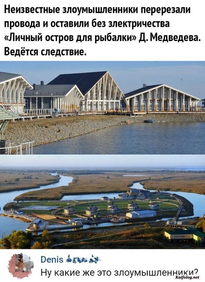 прикольная фотография