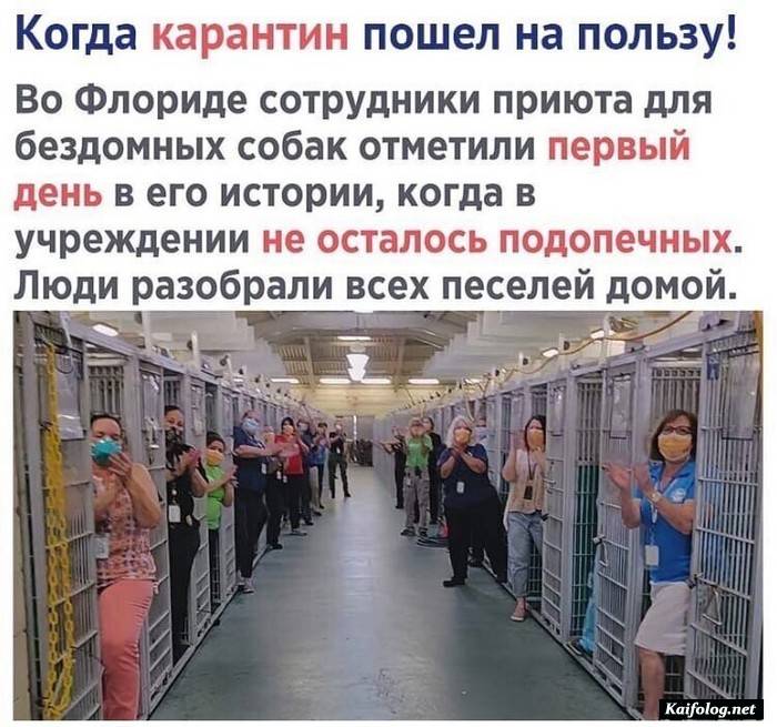 юморная фотография