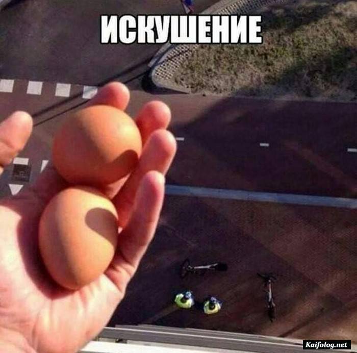 юморная фотография