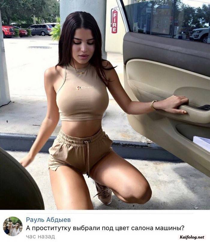 юморная фотография