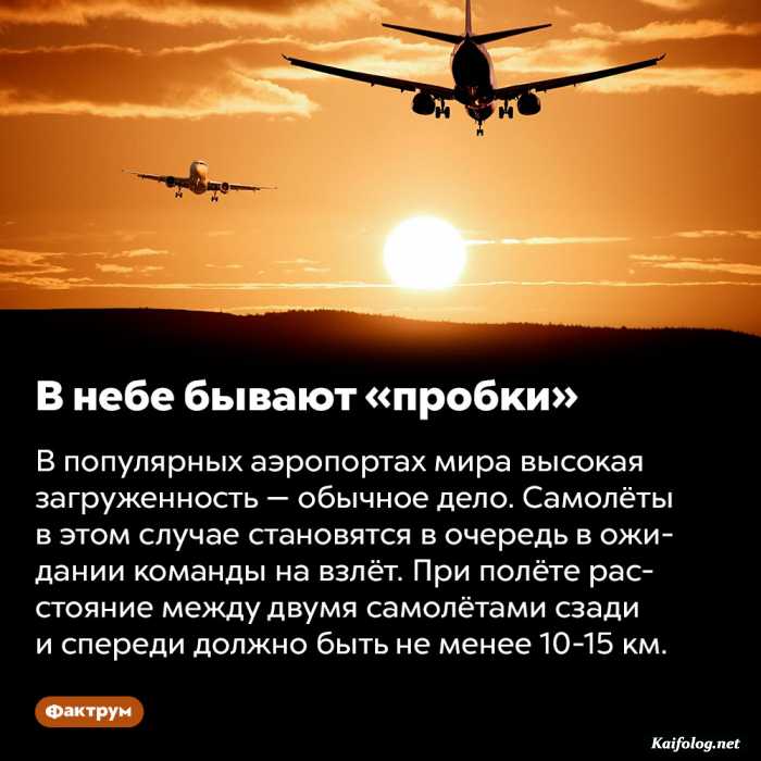 интересный факт картинка