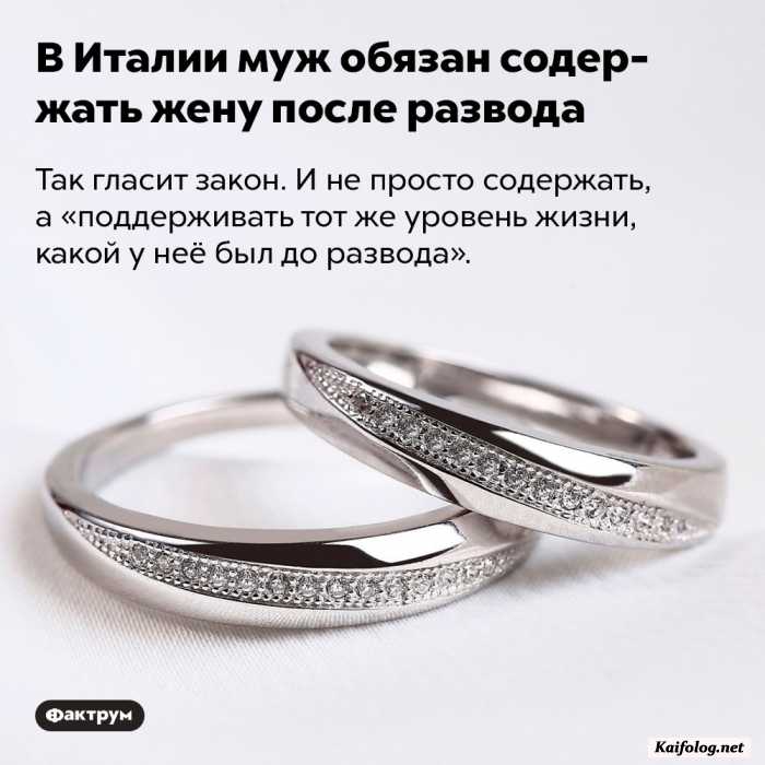 интересный факт картинка