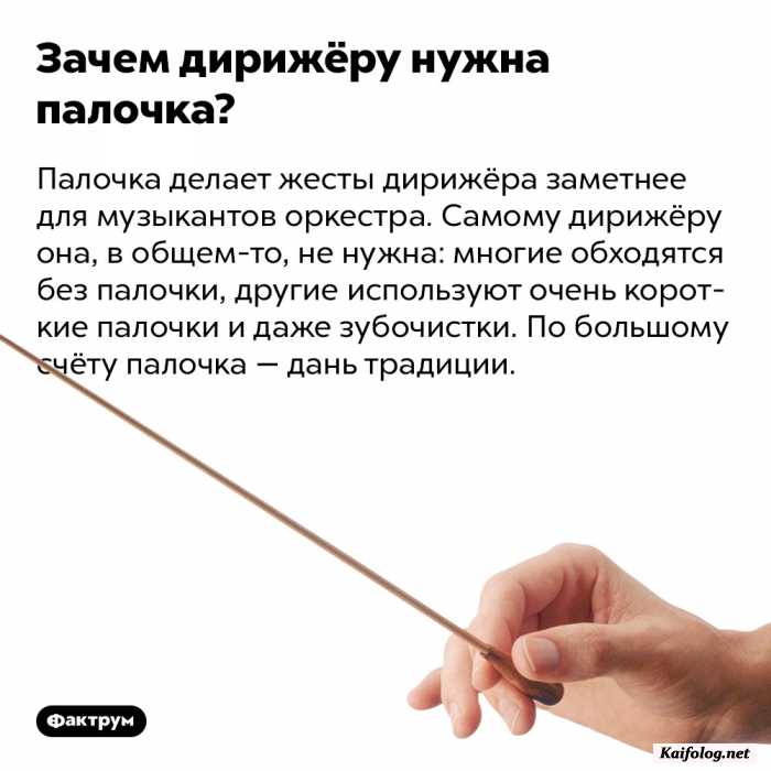 интересный факт картинка