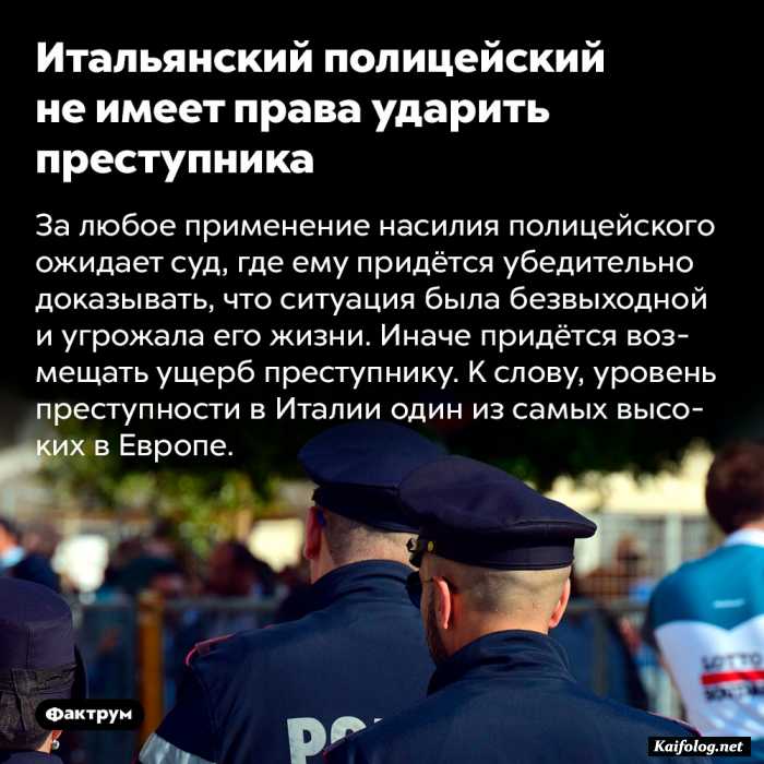 интересный факт картинка