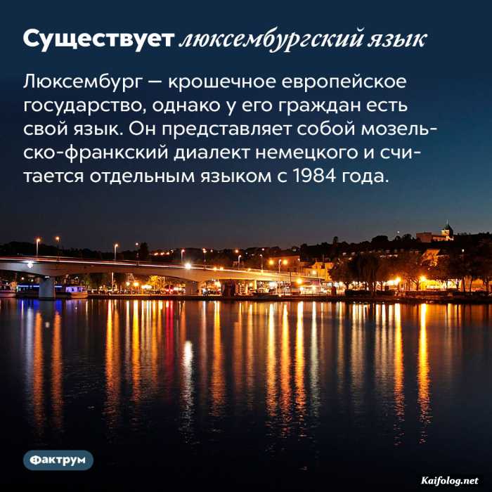 интересный факт картинка