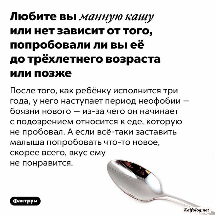 интересный факт картинка
