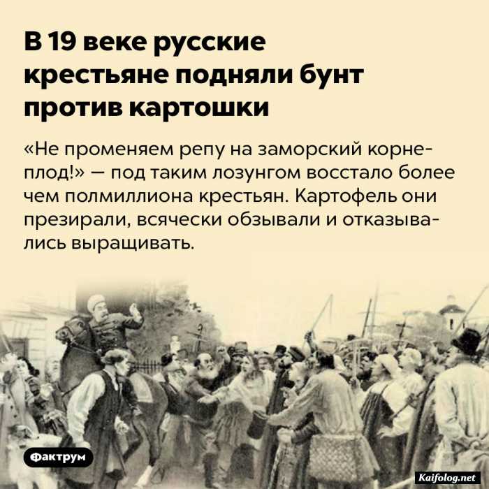 интересный факт картинка