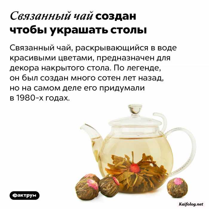 интересный факт