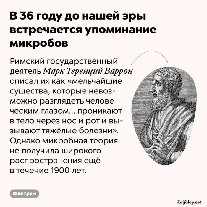 интересный факт