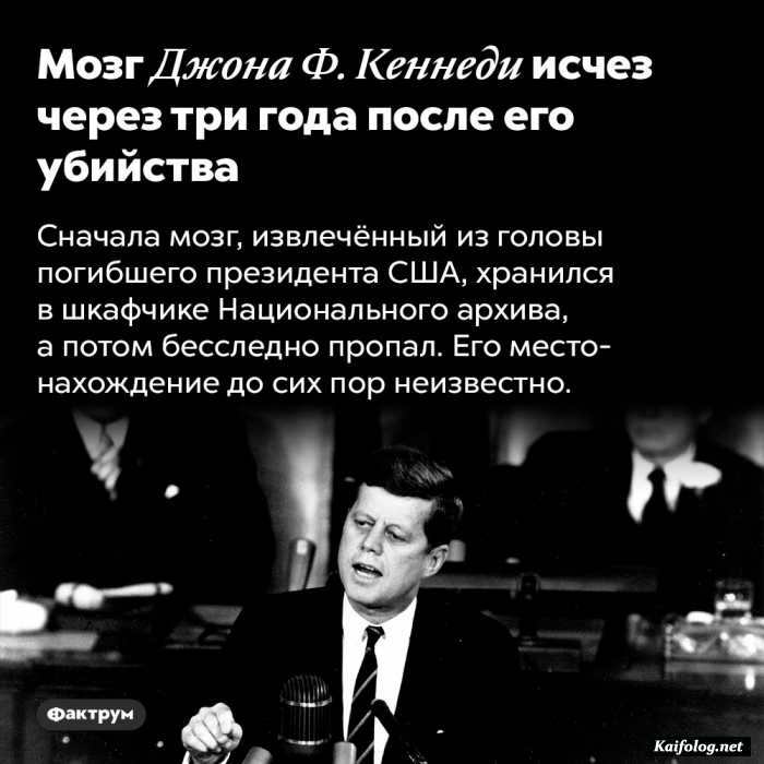 интересный факт
