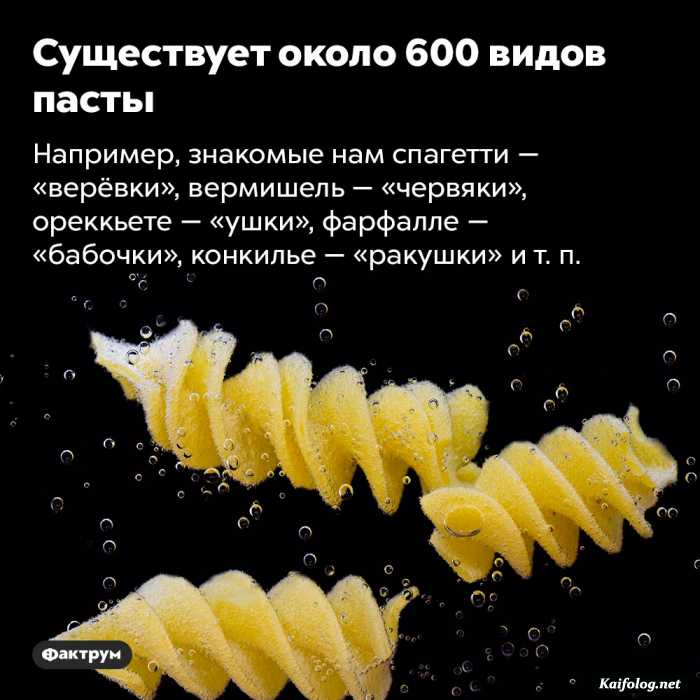 интересный факт