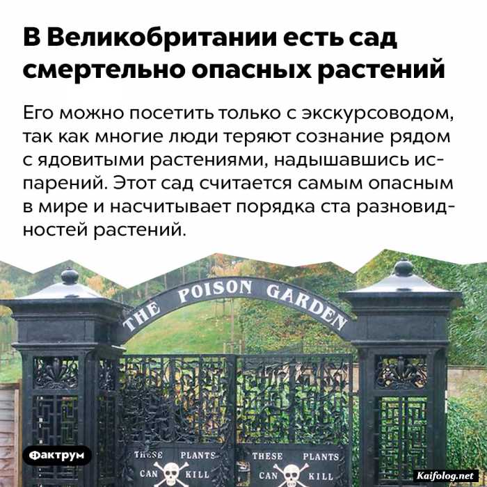 интересный факт