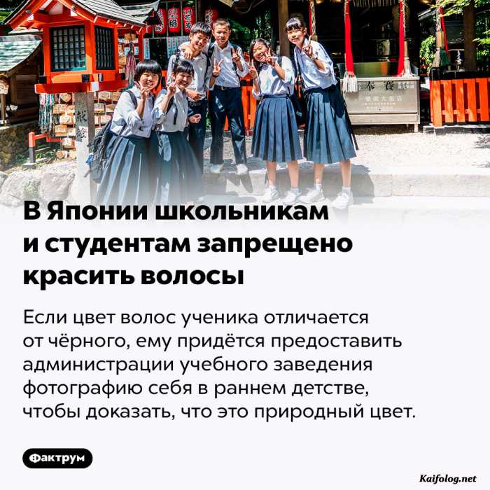интересный факт