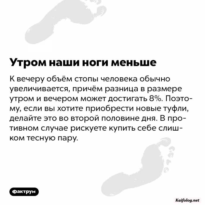 картинка с текстом факт
