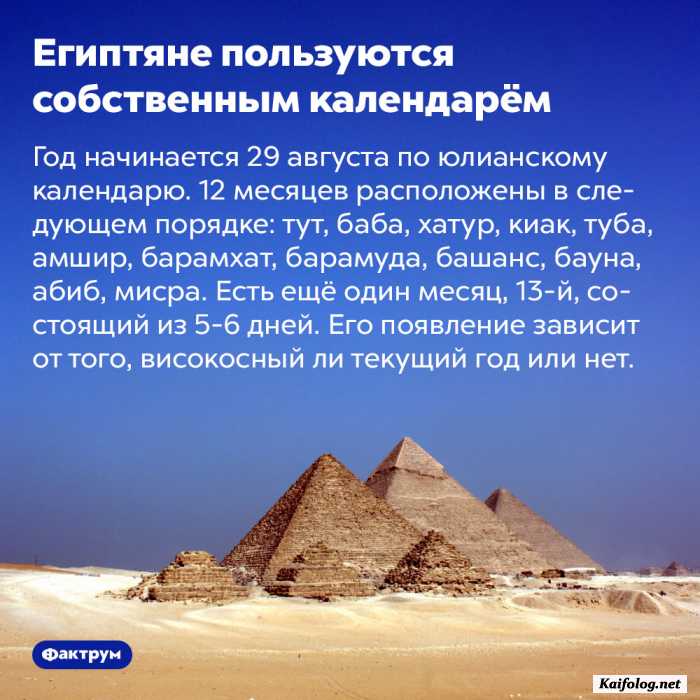 картинка с текстом факт