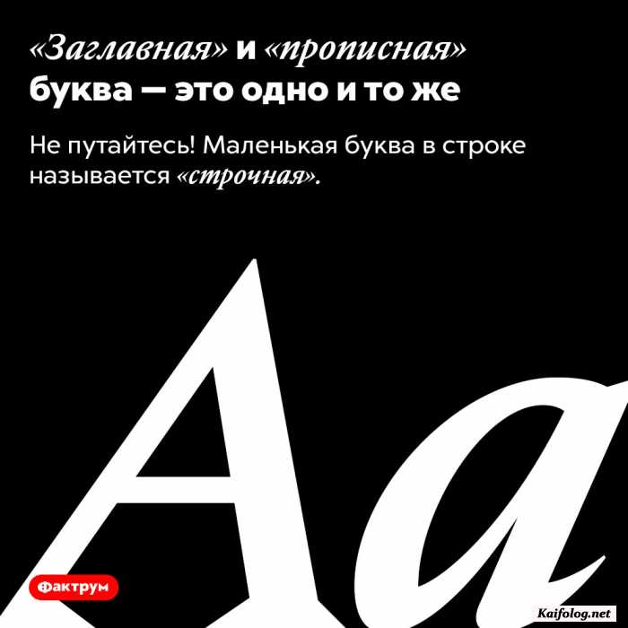 картинка с текстом факт