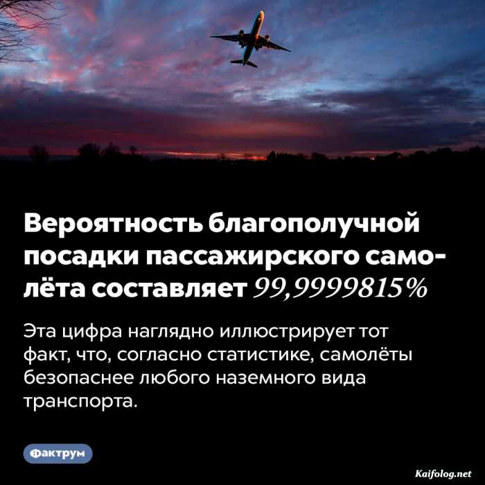 картинка с текстом факт