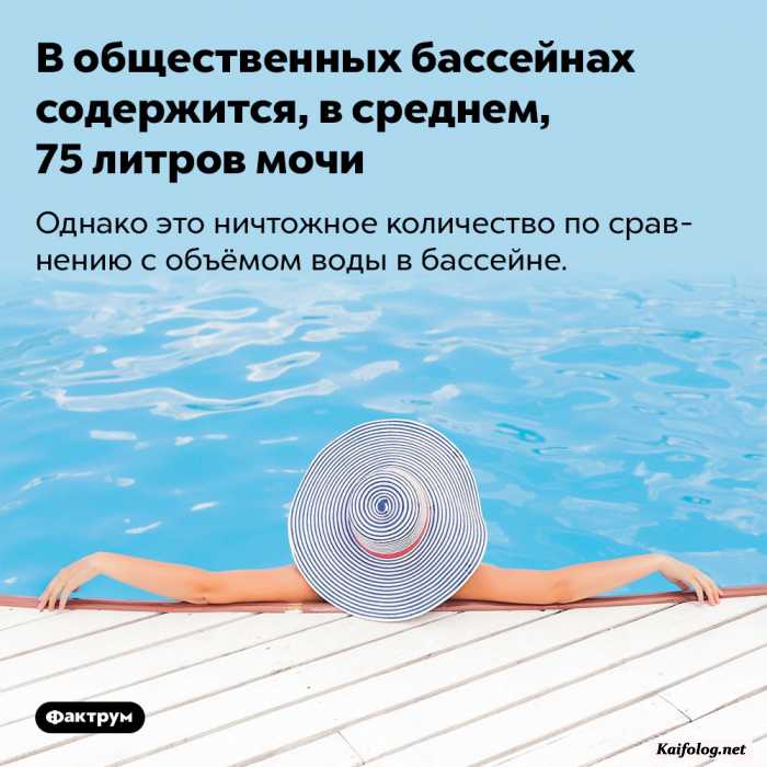 картинка с текстом факт