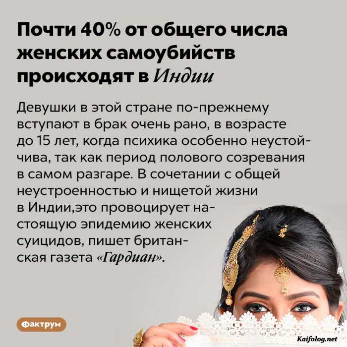картинка с текстом факт