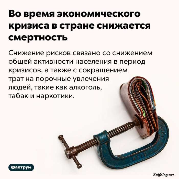 картинка с текстом факт