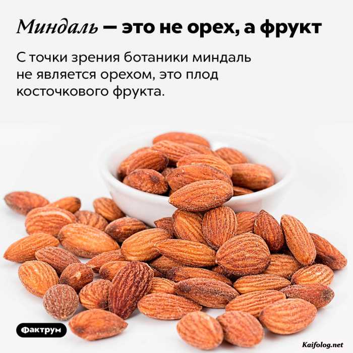 интересный факт