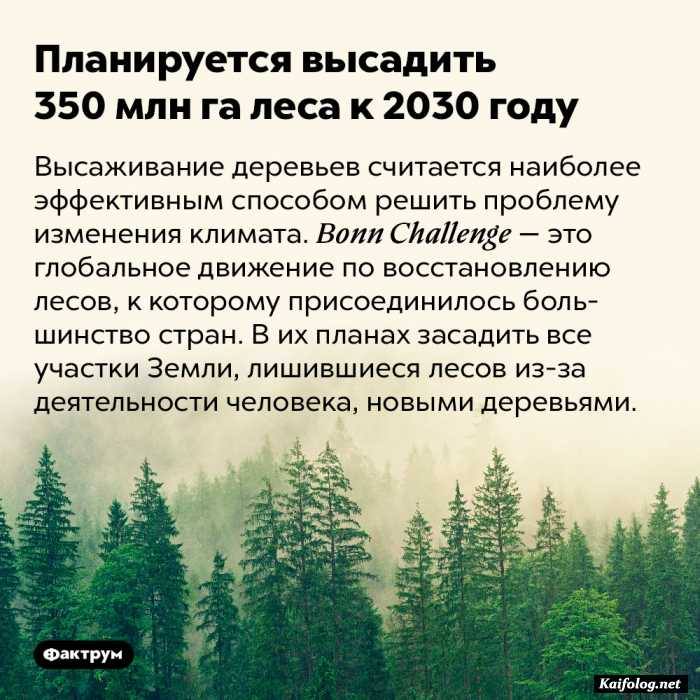 интересный факт