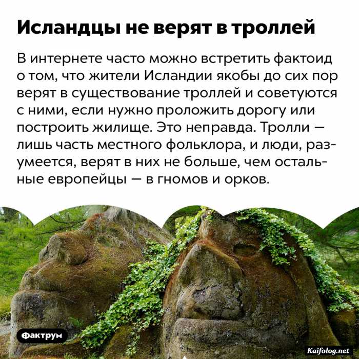 интересный факт
