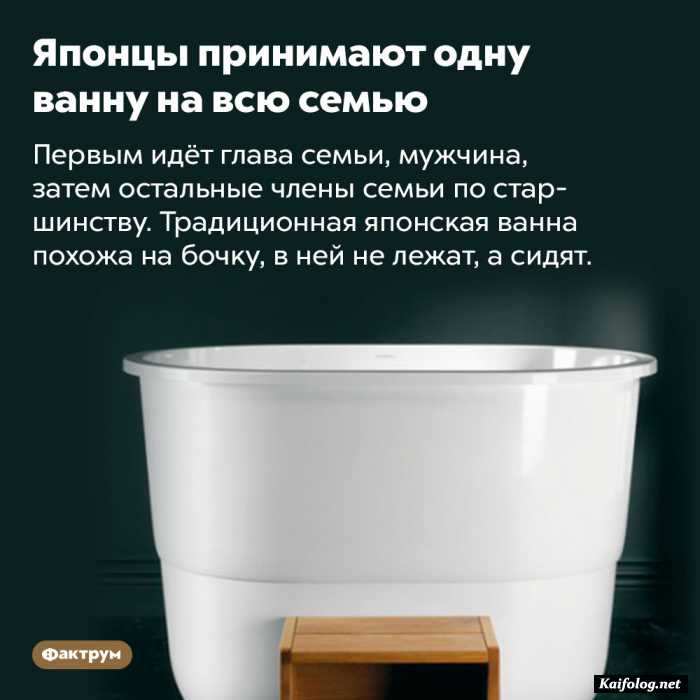 интересный факт
