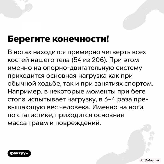 интересный факт