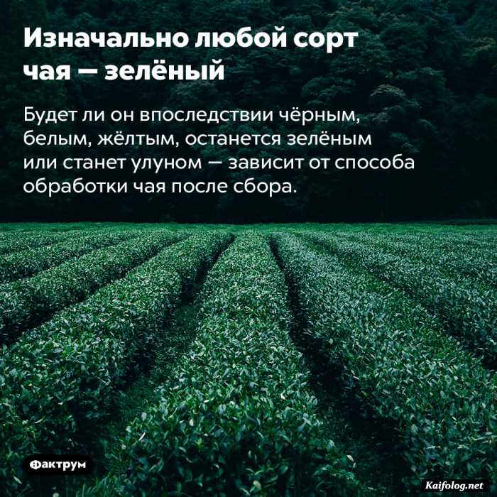 интересный факт