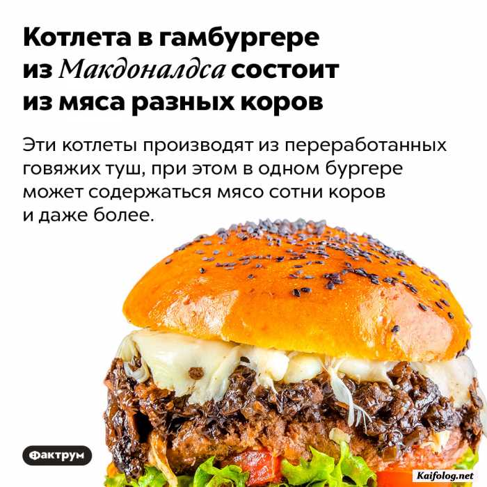 интересный факт