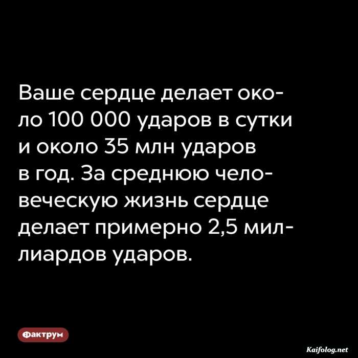 интересный факт